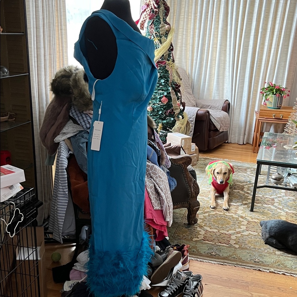 Fashion Nova Blue Dress with Feather Hem